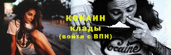 ГАЛЛЮЦИНОГЕННЫЕ ГРИБЫ Кулебаки