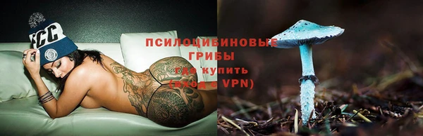ГАЛЛЮЦИНОГЕННЫЕ ГРИБЫ Кулебаки
