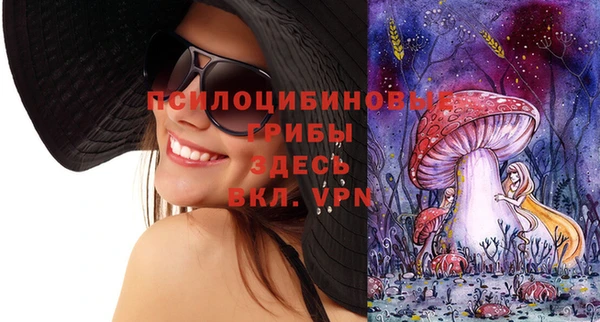 ГАЛЛЮЦИНОГЕННЫЕ ГРИБЫ Кулебаки