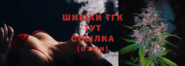 ГАЛЛЮЦИНОГЕННЫЕ ГРИБЫ Кулебаки