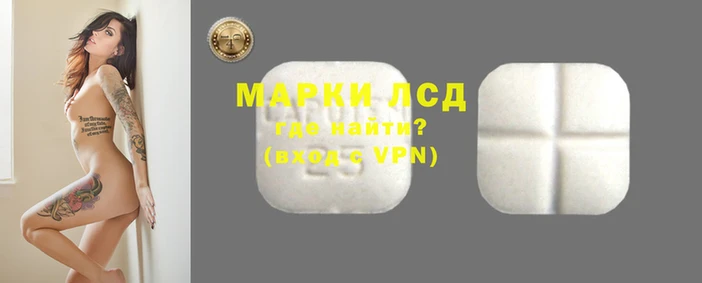 ГАЛЛЮЦИНОГЕННЫЕ ГРИБЫ Кулебаки