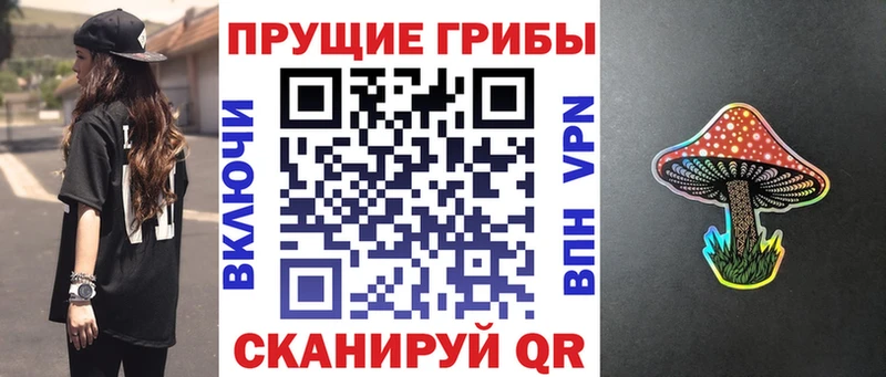 МЕГА зеркало  Артём  Галлюциногенные грибы Psilocybe 